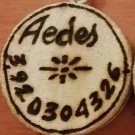 Gruppo Aedes Alghero, Residenza Michelangelo - 500 Mt Dalla * ألغيرو