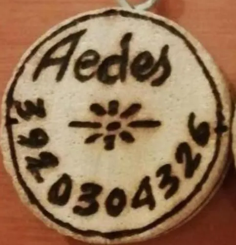 Gruppo Aedes Alghero, Residenza Michelangelo - 500 Mt Dalla * Αλγκέρο